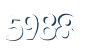 Input this protected code