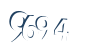 Input this protected code