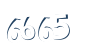 Input this protected code