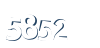 Input this protected code