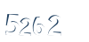 Input this protected code